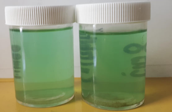 2019-03-06 Nickel Solution Spargoville